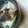 ぴいかん's cooksnap of when they made しいたけ　保存法.