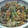 九道礼菜's cooksnap of when they made ひじき豆とインゲンの豚卵とじ.