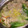 giselle_'s cooksnap of when they made 秋刀魚のつみれ.