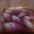 chainco's cooksnap of when they made 茗荷の甘酢漬け.