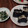 mie chan's cooksnap of when they made 春菊とエノキのさっぱりポン酢和え.