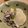 シャティヨ's cooksnap of when they made 圧力鍋とだし袋で♪ 大根と牛肉の煮物.
