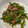 クック2H9MD0☆'s cooksnap of when they made 魚肉ソーセージとピーマンのオイスター炒め.