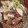 Yuuko7i's cooksnap of when they made さつまいもとりんごのサラダ.