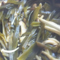 あかりんりん1118's cooksnap of when they made 茎わかめと茸の佃煮.