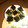 ＹＲＫＲ's cooksnap of when they made もっちもち♪　✿いももち✿.