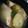 twin-twin's cooksnap of when they made とりとじゃがいもとたまねぎの煮物.