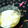 キョク's cooksnap of when they made とろ～りヨーグルト♪.