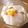 とっぽぎがおちゃん's cooksnap of when they made かぶでもいいね■大根の柚子香漬け.