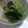 NOAママ☆'s cooksnap of when they made チンゲン菜のおひたし。.