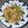 クックP49K4L☆'s cooksnap of when they made ☆私のイチオシ！究極のレタスチャーハン☆.