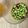 saki1010's cooksnap of when they made つまみ枝豆...✿...おやつ枝豆.