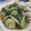 miyuki12's cooksnap of when they made 白菜と豚肉の中華風とろとろ煮.