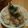 yukkie82's cooksnap of when they made ベトナム風まぜご飯.
