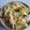 モメ太郎's cooksnap of when they made うどんｄｅキャベツグラタン.
