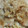 ☆エリック☆'s cooksnap of when they made 生姜みぞれだしdeもち豚の生姜焼き丼.