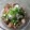 oBsession's cooksnap of when they made 豚のトローリみぞれ和え.