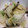 ライフキ's cooksnap of when they made 作置き白菜の漬物.