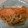まめ小町's cooksnap of when they made 鮭のちゃんちゃん焼き.