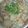 わこたこ's cooksnap of when they made 白菜ときのこのとろとろ卵とじうどん☆.