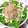 美々☆彡's cooksnap of when they made わさび菜～かつお節とマヨネーズかけただけ.