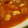 つつここ's cooksnap of when they made 白いんげん豆と玉ねぎのトマト煮.