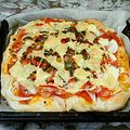 シュナティー's cooksnap of when they made 鉄板ピザ.
