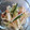 ♪桃ノ花ビラ♪'s cooksnap of when they made 長芋ときゅうりの梅和え.