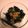 あい葉's cooksnap of when they made ほうれん草の納豆和え.