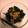 あい葉's cooksnap of when they made ほうれん草の納豆和え.