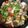 かめちび's cooksnap of when they made アクアパッツア.