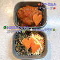 ＠もちぷりん's cooksnap of when they made トマトソースの煮込みハンバーグ.