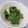 きらり流れ星's cooksnap of when they made パクパク食べれる白菜の胡麻和え.