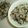 monemaruku's cooksnap of when they made だだちゃ豆（枝豆）とひじきの混ぜご飯.