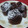ちさぷー's cooksnap of when they made ふんわりしっとり・・はちみつショコラ♪.