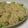nabeko44kazu's cooksnap of when they made もち米しゅうまい.