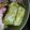 ＭＯＭＯパンダ's cooksnap of when they made お弁当に！お好みたまご焼き☆.