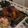 maer1017's cooksnap of when they made Munchkin家のローストターキー.