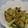 iketa's cooksnap of when they made 簡単✿ズッキーニだけ✿...ぺペロンチーノ.