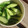 ｍａｒしゃん's cooksnap of when they made 秘伝！きゅうりのからし漬け.