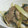 umemodoki's cooksnap of when they made 焼肉のタレで冷蔵庫の残り物炒め.