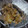 ＭＯＭＯパンダ's cooksnap of when they made すき焼きのタレで簡単♪豚丼♪.