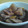 まめさんママ's cooksnap of when they made イカと大根の煮物.