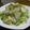 かのこぴー's cooksnap of when they made 白菜の浅漬け☆de☆白菜とリンゴのサラダ.
