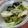 さとみんみん★'s cooksnap of when they made 超簡単！レタスの韓国海苔炒め.