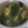fu♪♪'s cooksnap of when they made あっという間の中華スープ♫.