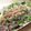 ☆アメリ☆'s cooksnap of when they made 大根と納豆のサラダ.