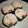 ネスター's cooksnap of when they made ごま油で香ばし　サラダ巻き.