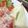 noamanma's cooksnap of when they made バジルとブラペ☆チーズでサンド！.