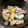 nagomi＊'s cooksnap of when they made 白菜＆豚肉のしょうが炒め.